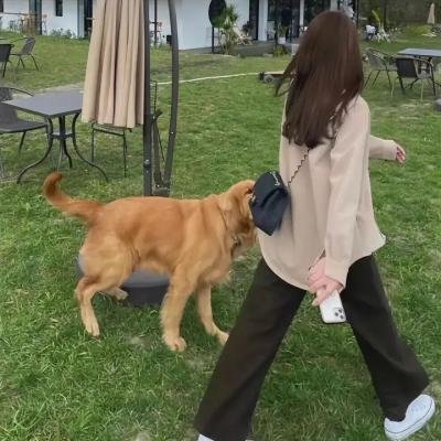消失的爱人